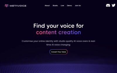 Metavoice AI